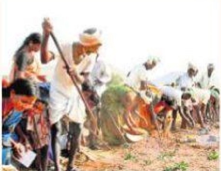 5 నెలల్లో పెదలకు రూ.3,400 కోట్ల ఉపాధి