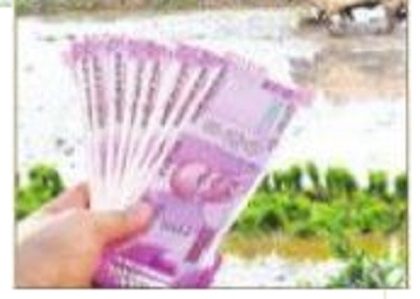 రైతులకు పుష్కలంగా  రుణాలు