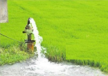 భూగర్భ జల హాసం