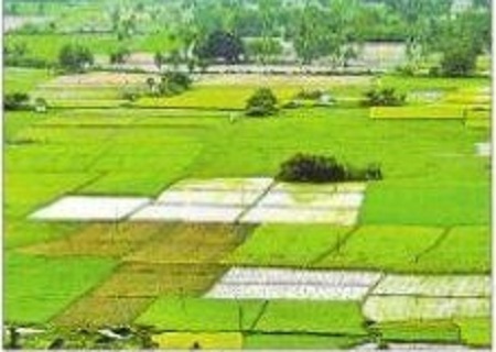 చిక్కులు చక్కదిద్దేలా