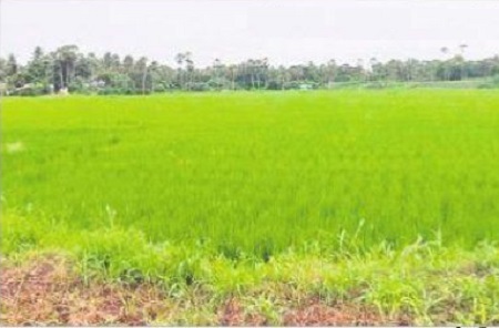 నిషేదిత చట్రం..  ఉండదిక కష్టం