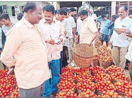 టమాటా రైతుకు బాసట