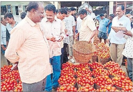 టమాటా రైతుకు బాసట