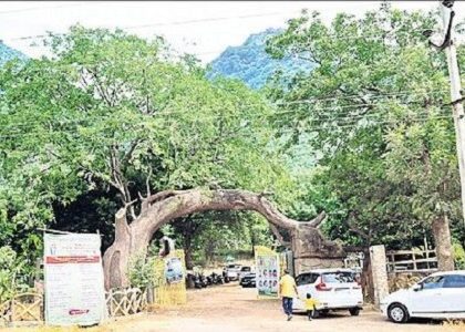 ప్రకృతి ప్రేమికులకు వరం