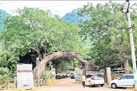 ప్రకృతి ప్రేమికులకు వరం