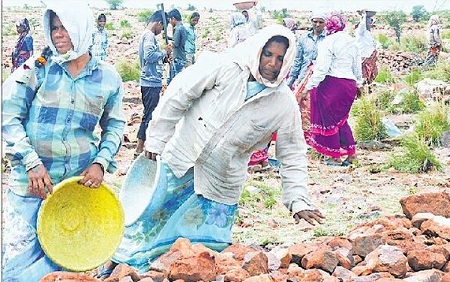 'ఉపాధి'లో అగ్రస్థానం