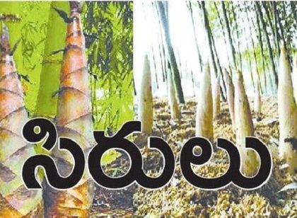 వెదురు.. పోషకాల సిరులు