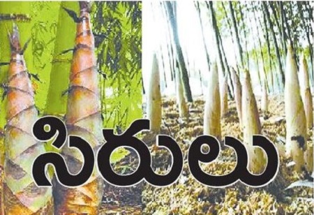 వెదురు.. పోషకాల సిరులు