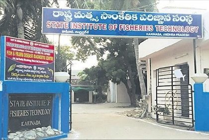 ఎస్ ఐ ఎఫ్ టీ   ఆక్వా ల్యాబ్ కు అంతర్జాతీయ గుర్తింపు