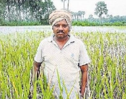 అడవుల్లోనూ ఆహార పంటలు