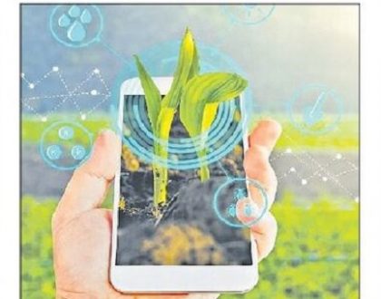 నేటి నుంచి రబీ ఈ-క్రాప్ నమోదు