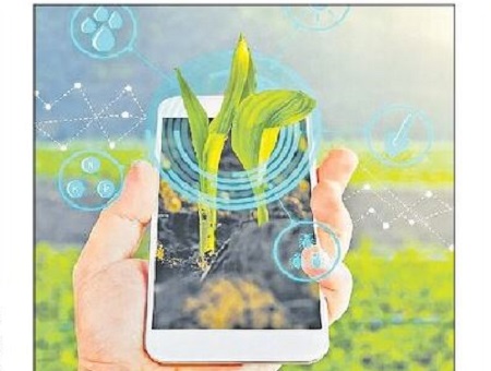 నేటి నుంచి రబీ ఈ-క్రాప్ నమోదు