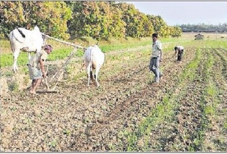 ఇక మరింత వేగంగా ప్రకృతి సాగు