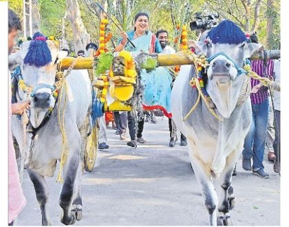 సంప్రదాయంగా సంక్రాంతి