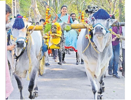 సంప్రదాయంగా సంక్రాంతి