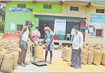 ధైర్యాన్నిస్తున్న ధాన్యం