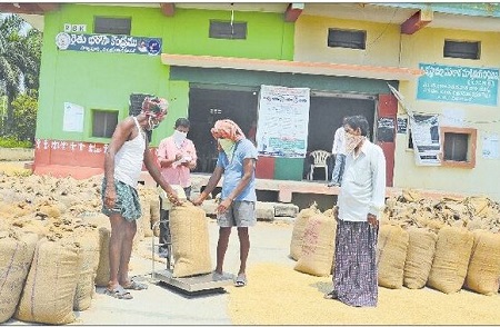 ధైర్యాన్నిస్తున్న ధాన్యం