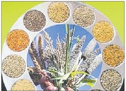 మిషన్ మిల్లెట్