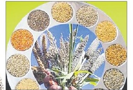 మిషన్ మిల్లెట్