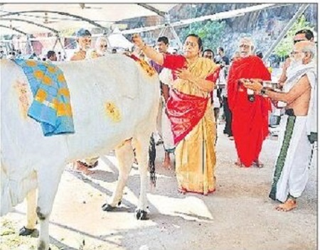 ఇంద్రకీలాద్రిపై భక్తి శ్రద్దలతో గోపూజ