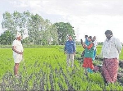 96 శాతం ఈ-క్రాప్ నమోదు