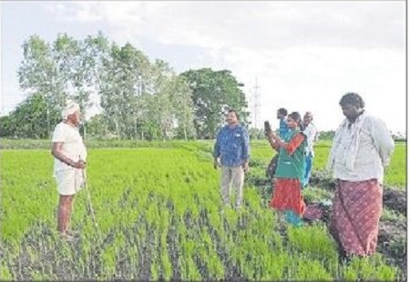 96 శాతం ఈ-క్రాప్ నమోదు