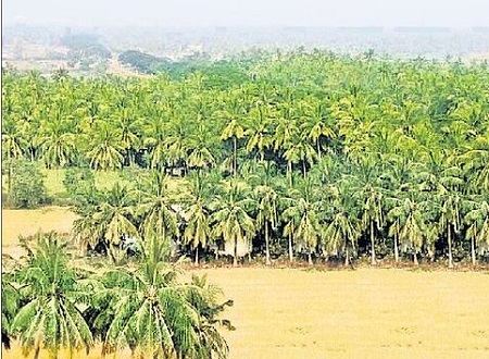 ద్వీపం నిలిచేలా..