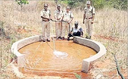 వన్య ప్రాణుల సంరక్షణకు నీటి కుంటలు