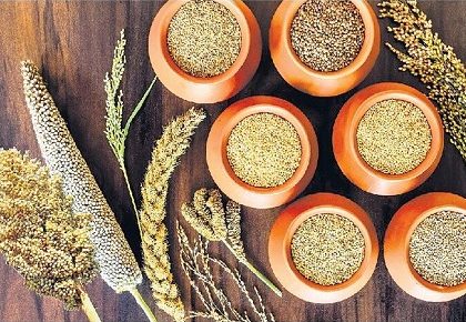 'చిరు' ధాన్యాల సాగుకు పెద్ద ప్రోత్సాహం