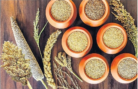 'చిరు' ధాన్యాల సాగుకు పెద్ద ప్రోత్సాహం