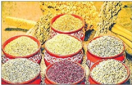 మే నుంచి చిరుధాన్యాల పంపిణీ