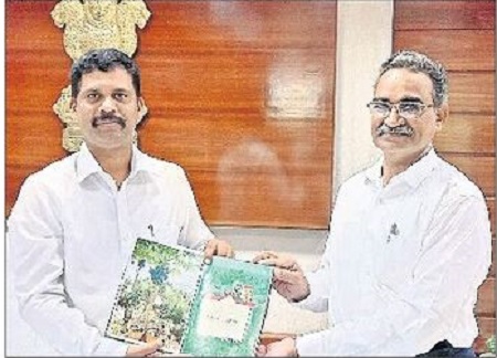మిద్దె తోటల పెంపకంపై శ్రద్ధ చూపాలి