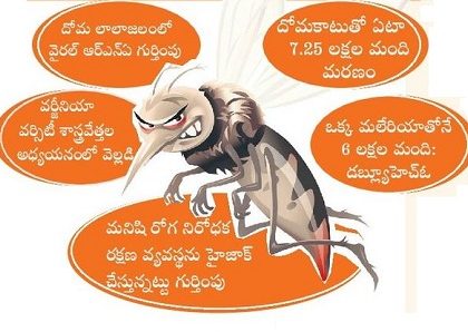 దోమ.. ప్రాణాంతకం !