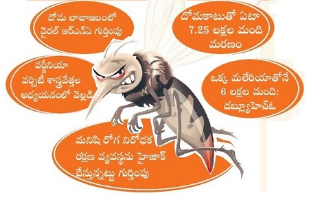 దోమ.. ప్రాణాంతకం !