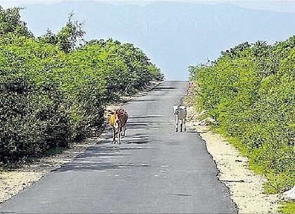 మరిన్ని గ్రామీణ రోడ్లకు మహర్దశ
