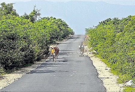 మరిన్ని గ్రామీణ రోడ్లకు మహర్దశ