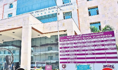 జీవనాడి