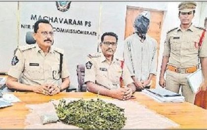 గంజాయి నియంత్రణకు ప్రత్యేక చర్యలు