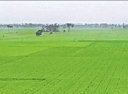 పెద్ద కష్టం తీరింది