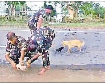 మూగజీవిలో అమ్మ ప్రేమ
