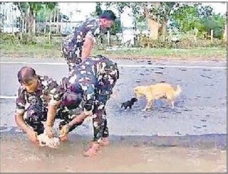 మూగజీవిలో అమ్మ ప్రేమ