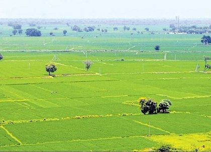 20 లక్షల మంది రైతుల చేతికి.. సరికొత్త సంపద
