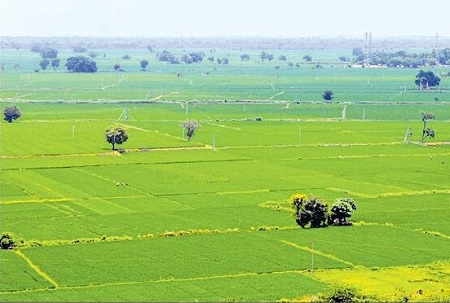 20 లక్షల మంది రైతుల చేతికి.. సరికొత్త సంపద