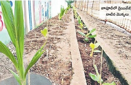 స్వచ్ఛధనం