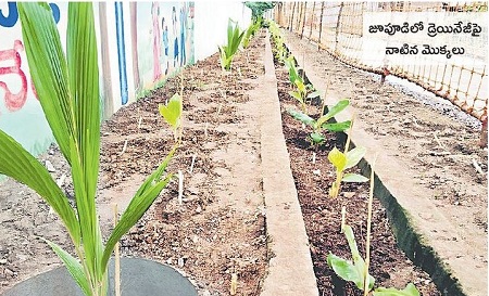 స్వచ్ఛధనం