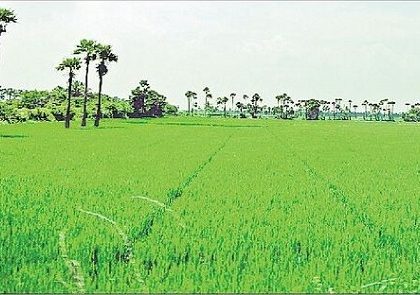 జలరక్షణ.. క్రమశిక్షణ