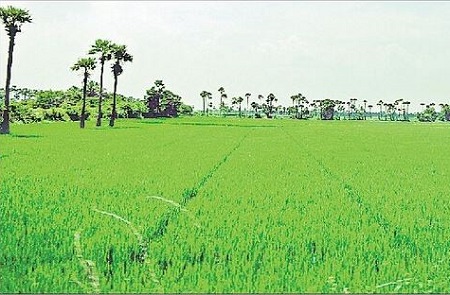 జలరక్షణ.. క్రమశిక్షణ