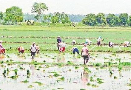 వర్షం.. రైతుల హర్షం