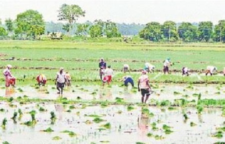 వర్షం.. రైతుల హర్షం