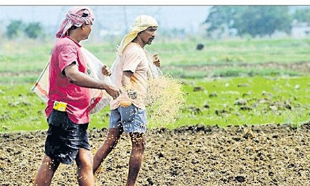 ముందస్తు రబీకి ముమ్మర కసరత్తు